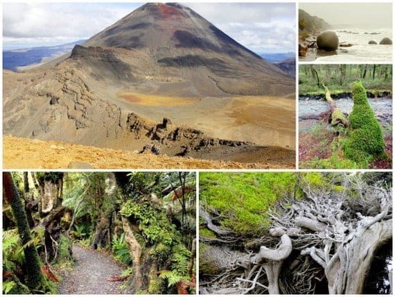 You Know You're in New Zealand When . . . 4 Lord of the Rings landscapes, New Zealand