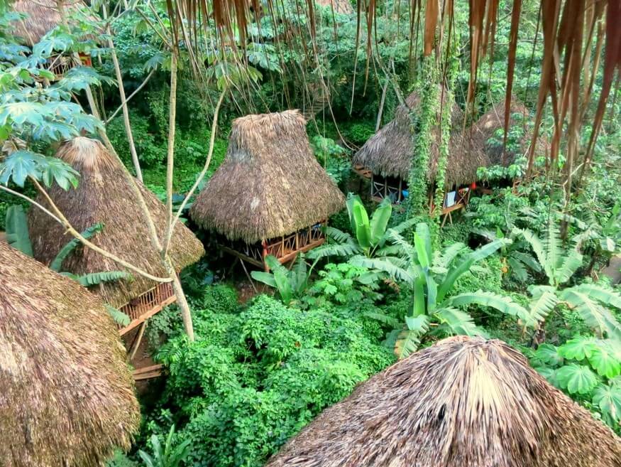 You Know You're In The Dominican Republic When... 3 Samana Tree Houses