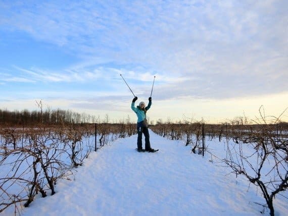 Our Anniversary at Frozen Niagara Falls 7 Schultze vineyard in winter