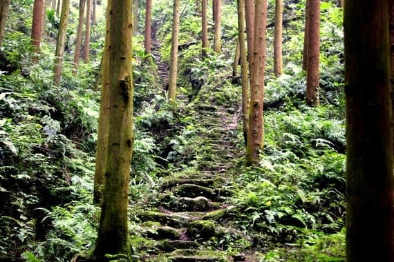 Emeishan: A Spirtual Trek 2 The many steps of Emeishan China