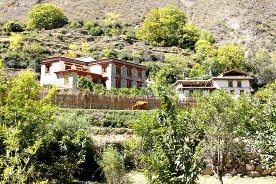 A Taste of Tibet: Diqing, China 15 Songstam Benzilan Hotel China