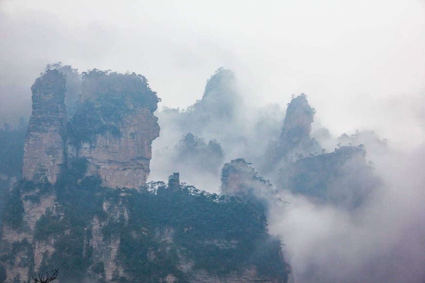 Wulingyuan Avatar Forest