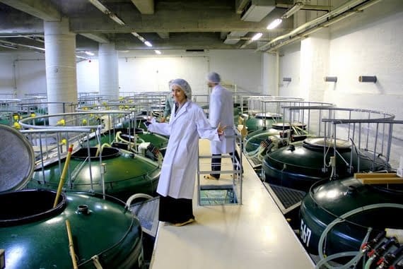 Nakemura sake distillery tours