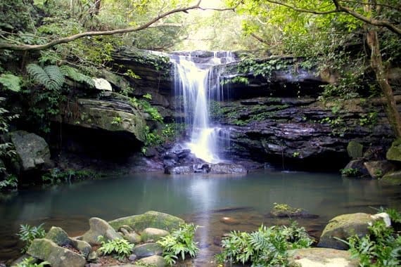 Iriomote waterfall hike