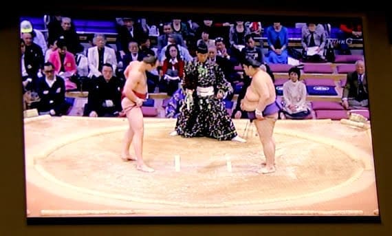 japanese sumo tournaments