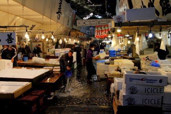 The Many Faces of Tokyo Japan 11 largest fish market in japan