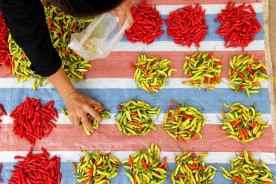 Chili Peppers at the Market in Luang Namtha