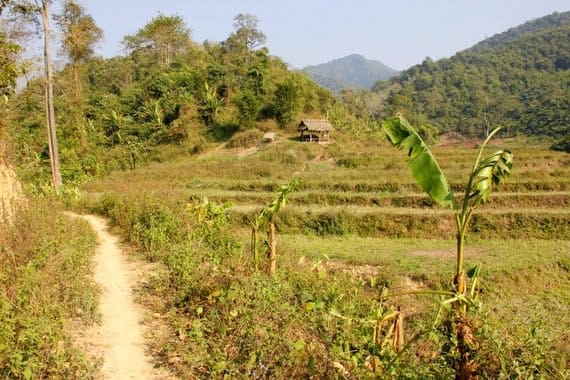 Trek in Luang Namtha