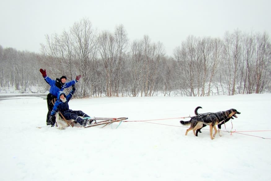 Dog Sledding Norway