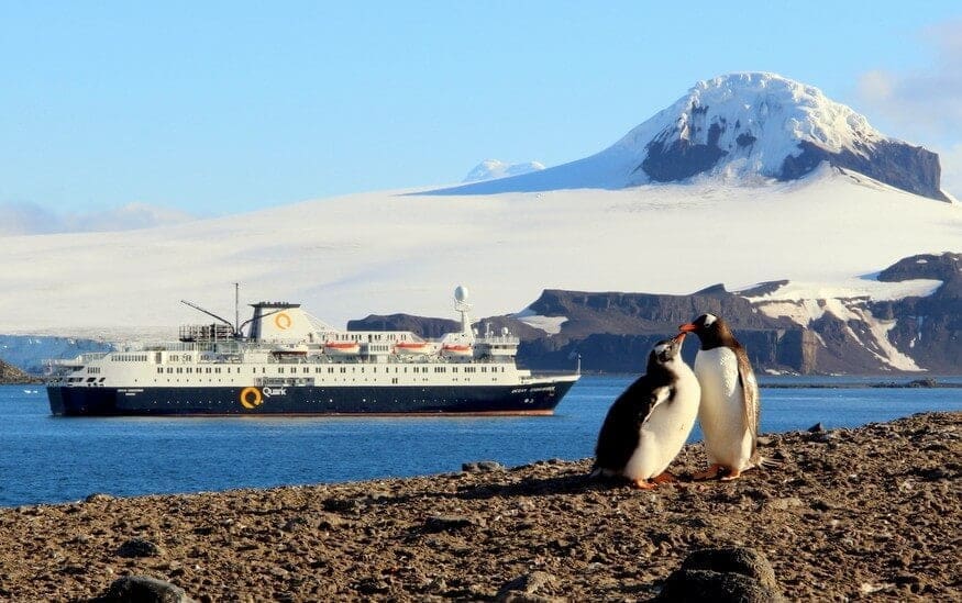 Antarctica Honeymoon: The Expedition Begins! 1 Penguins and Quark Expeditions
