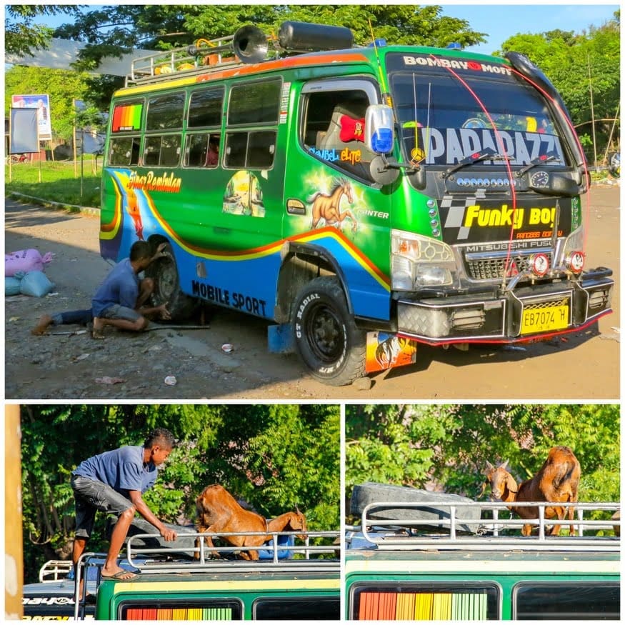 Flores Indonesia 9 Indonesian buses