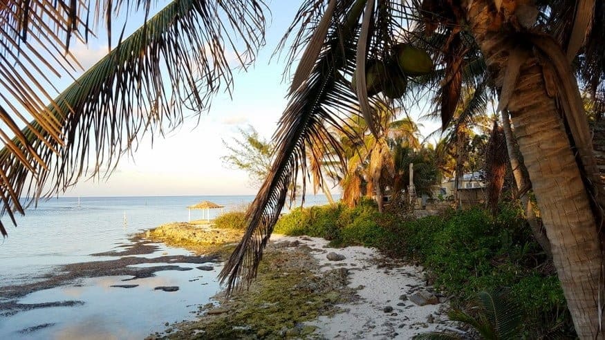 Road Tripping Grand Cayman 7 Grand Cayman