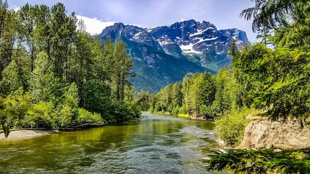 British Columbia Bear Watching Bella Coola Valley