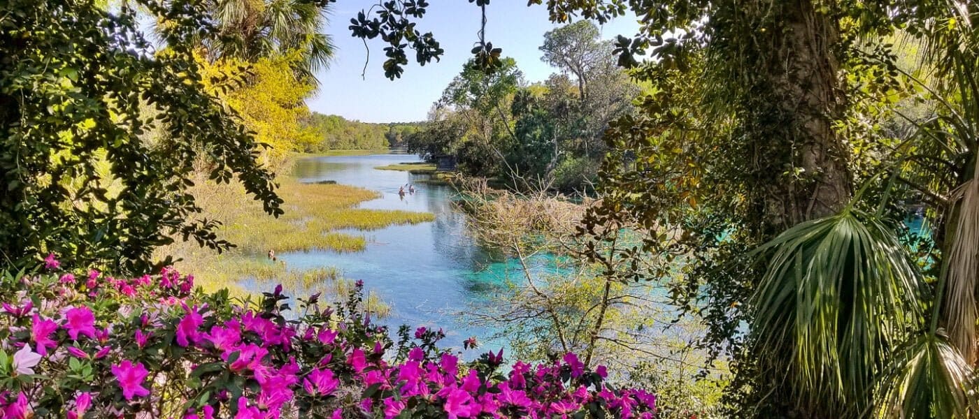 The Best USA Road Trips 16 North Florida Road Trip