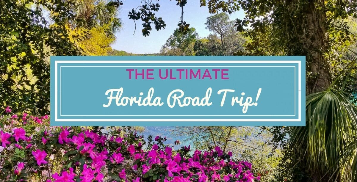 couples travel influencers