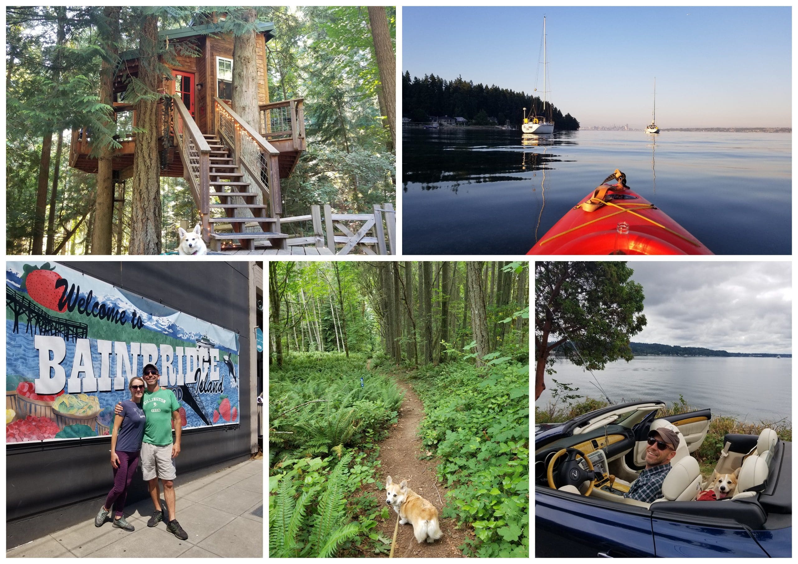 HoneyTrek 2021 Year in Review 8 housesitting tips