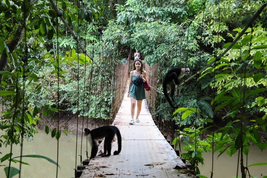 osa peninsula travel guide