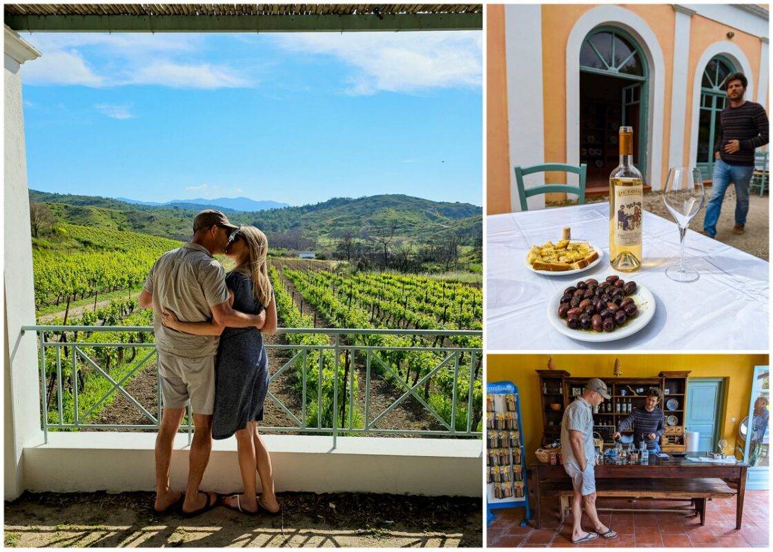 Winetasting and vineyards of Rhodes, Dodecanese Islands Greece
