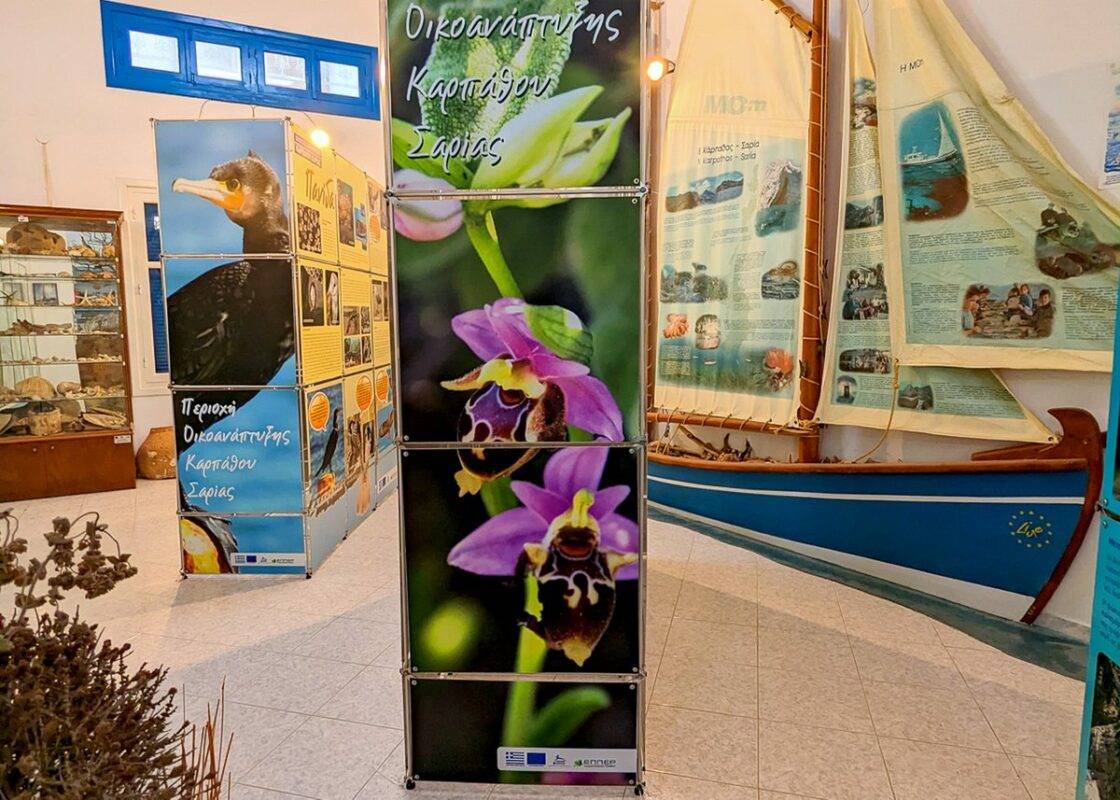Karpathos: Old-World Greece Meets the Mountains & Sea 4 NECCA Nature Exhibit