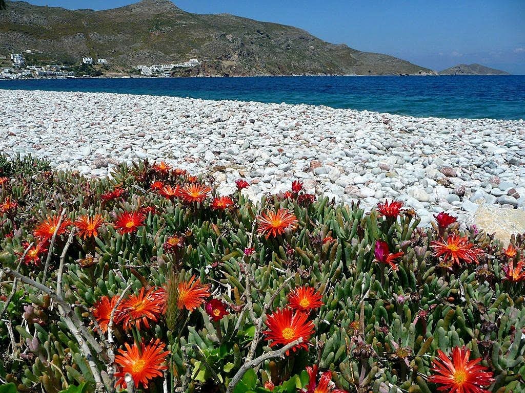 Best Islands in the Dodecanese, Greece: 6 Stunning & Sustainable Greek Getaways 11 Tilos energy independent island