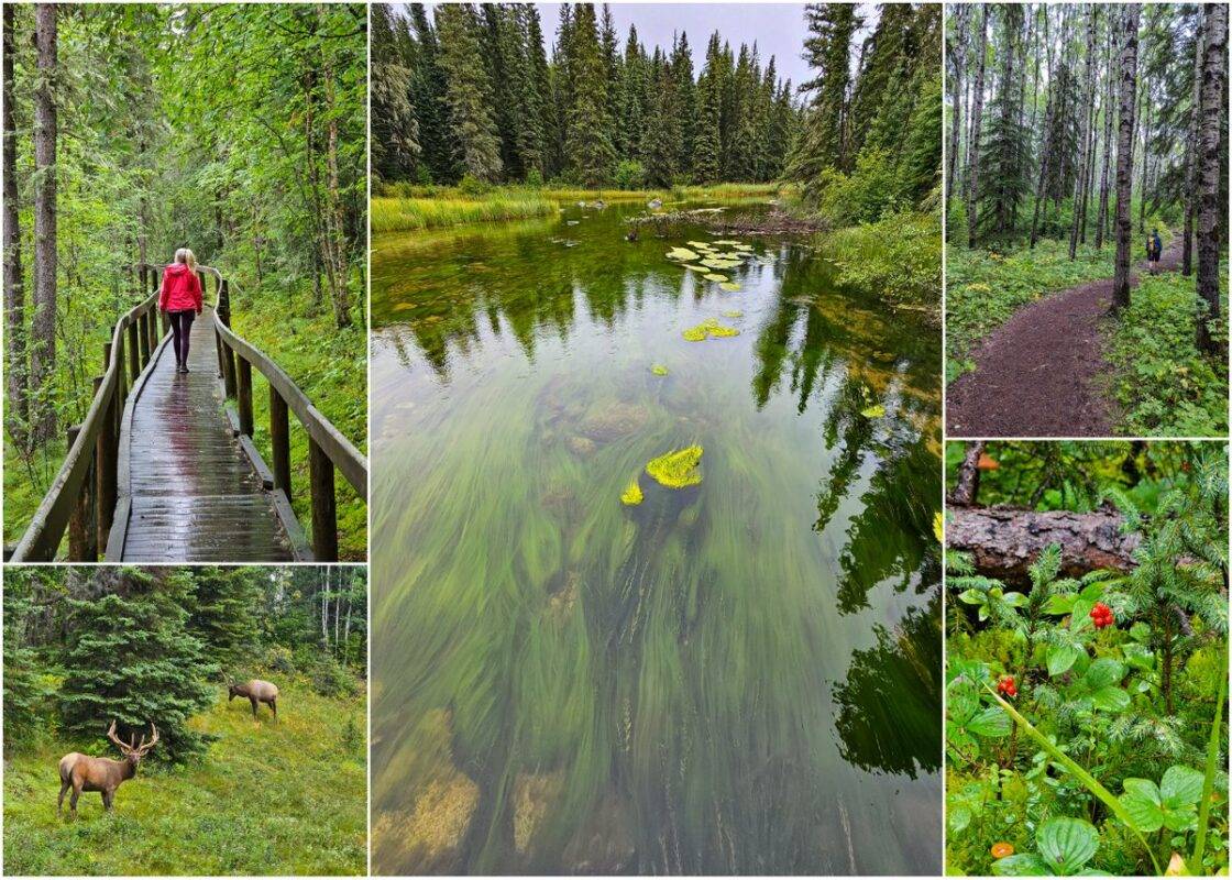 Best hikes in Prince Albert National Park, Saskatchewan