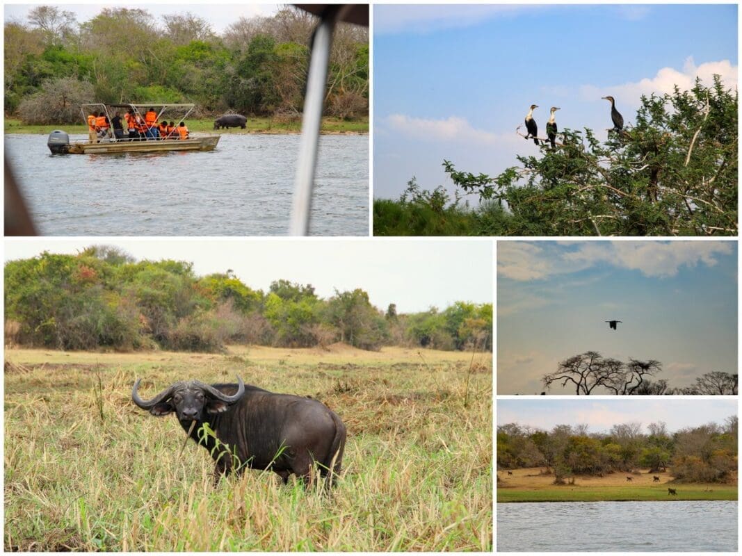 Lake Ihema Akagera National Park