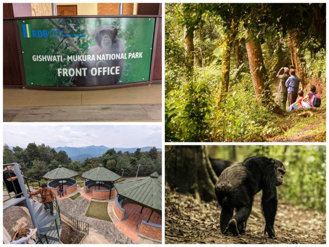 forest of hope gishwati national park lodging