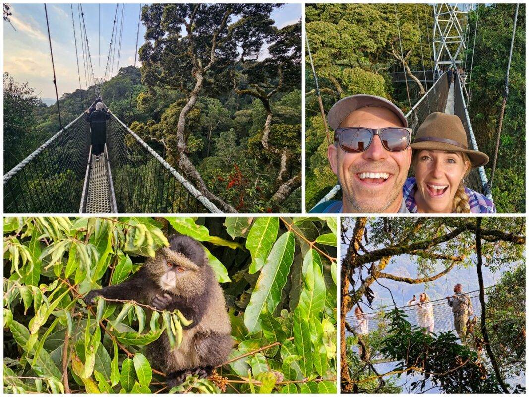 NyungweNational Park Canopy Walk