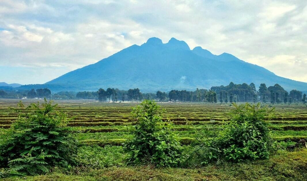 Virunga Mountains and Volcanoes national park, rwanda