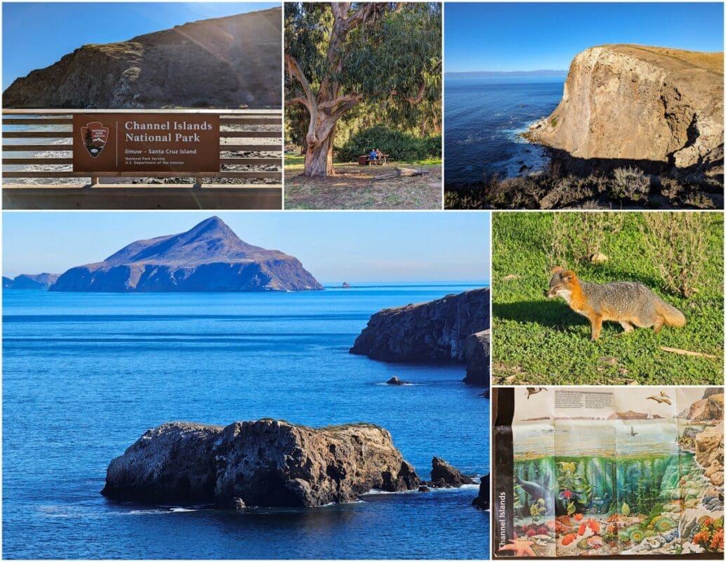 Channel Islands National Park