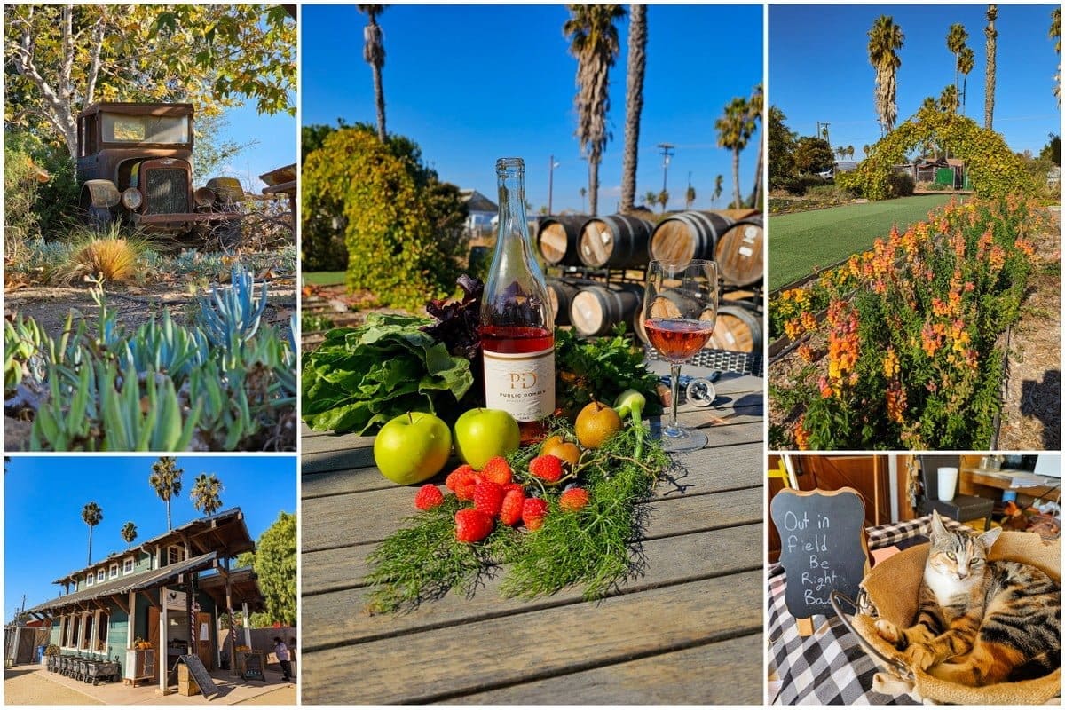 Camarillo Farm, Ventura County CA