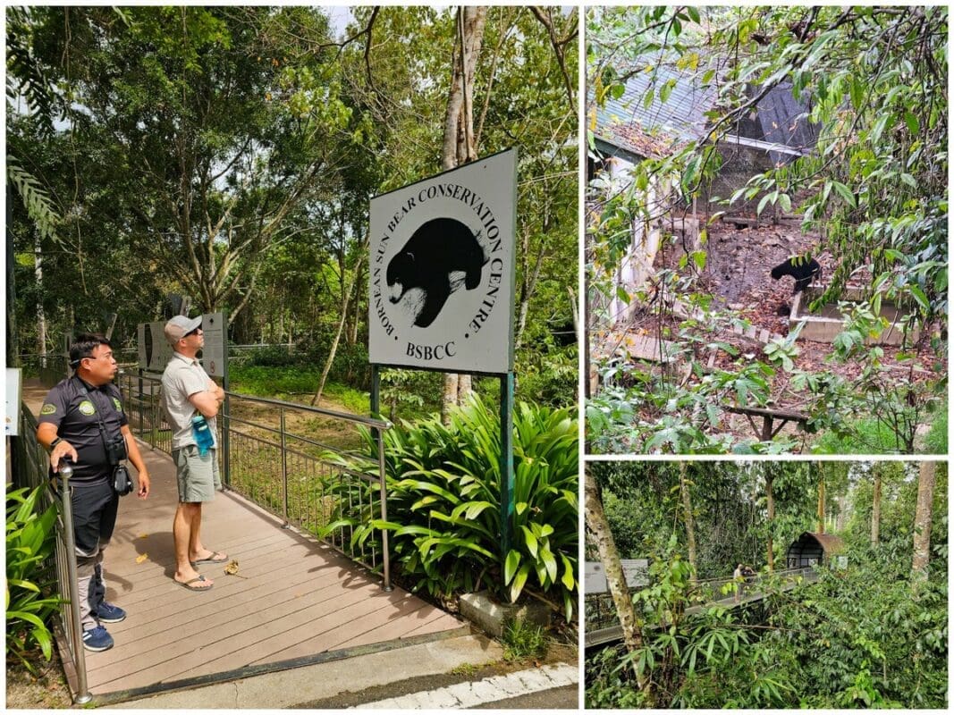 Borean Sun Bear Conservation Centre