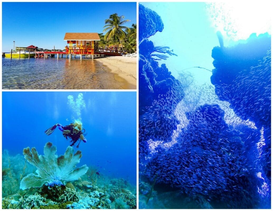 Best Caribbean Dive Sites