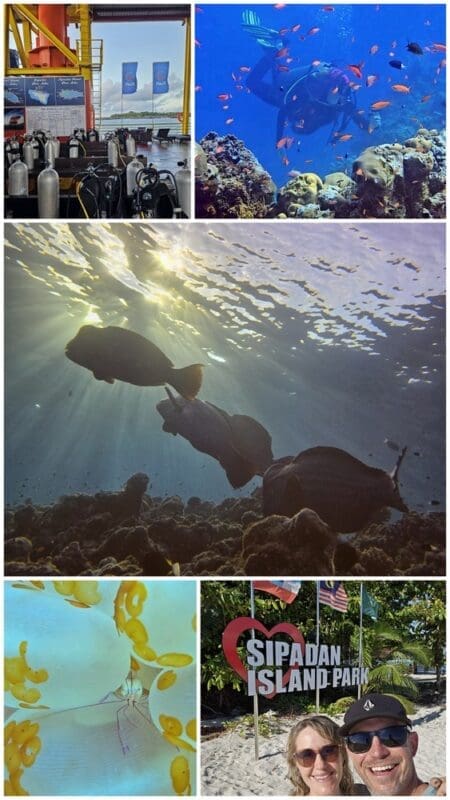 best scuba diving destinations coral triangle