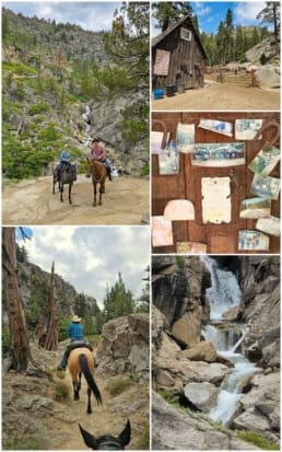 horseback riding gold country california