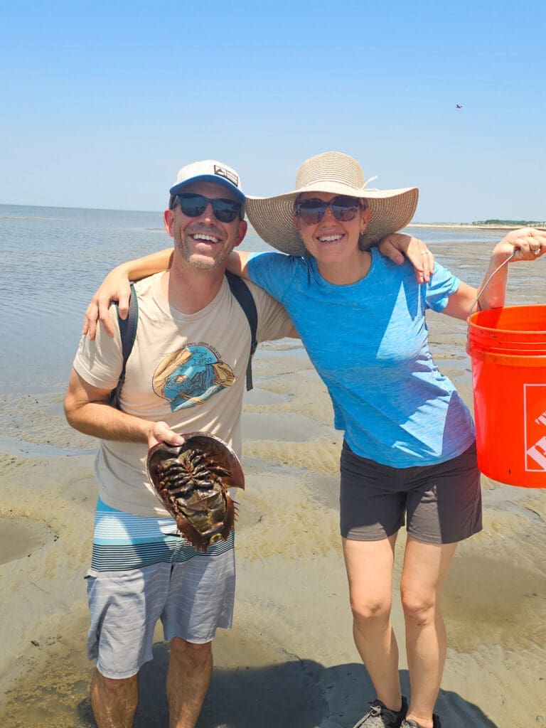 return the favor horseshoe crab volunteering CREDIT HoneyTrek 130642 001