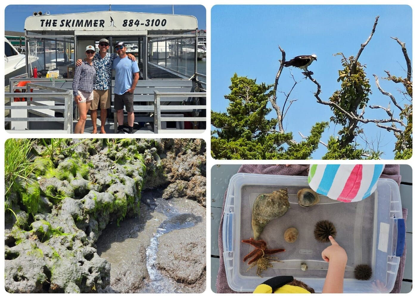 New Jersey Road Trip: 11 Unexpected Things to Do in The Garden State 12 skimmer cape may