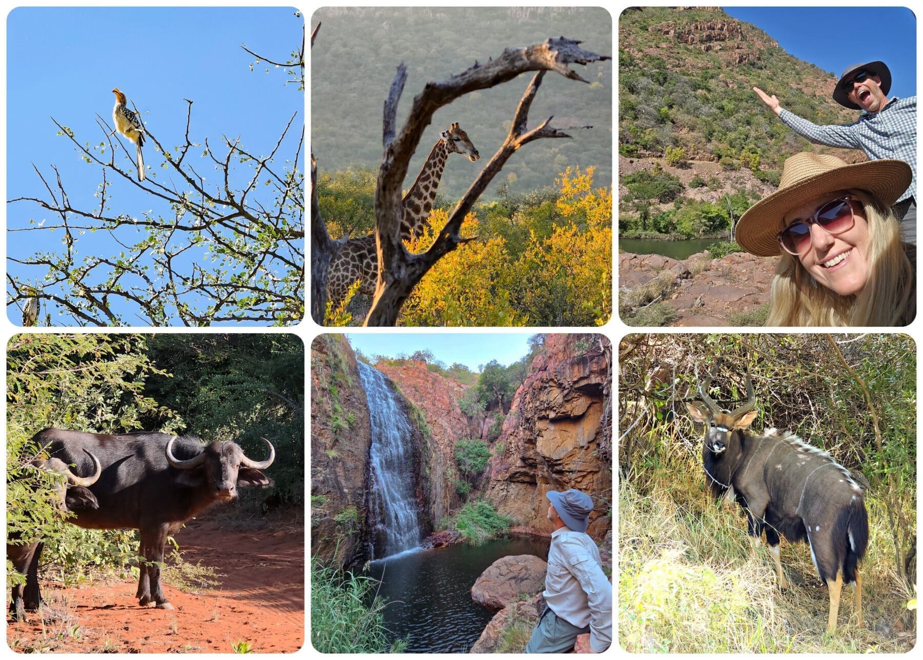 South Africa Glamping: Some more remote Luvondo 7 Collage 2025 08 02 14 35 18 Skated