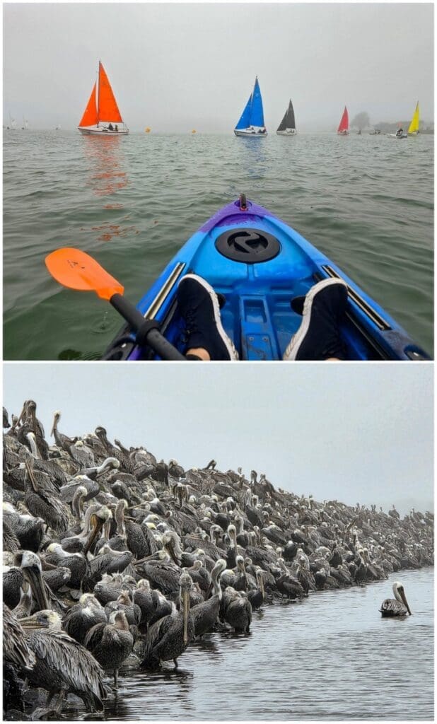 San Francisco Peninsula Road Trip 8 Half Moon Bay Kayak