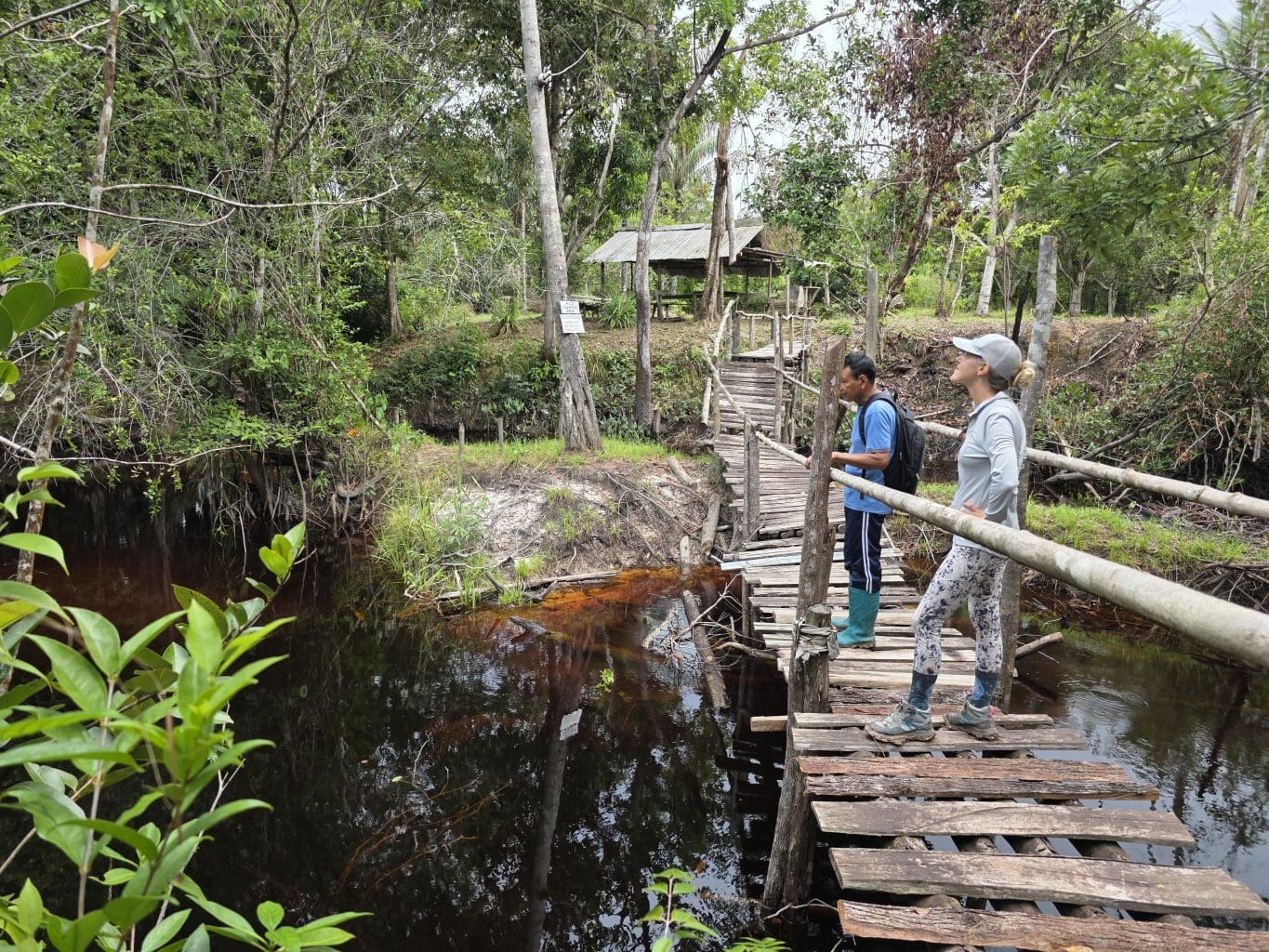 bimichi forest guyana