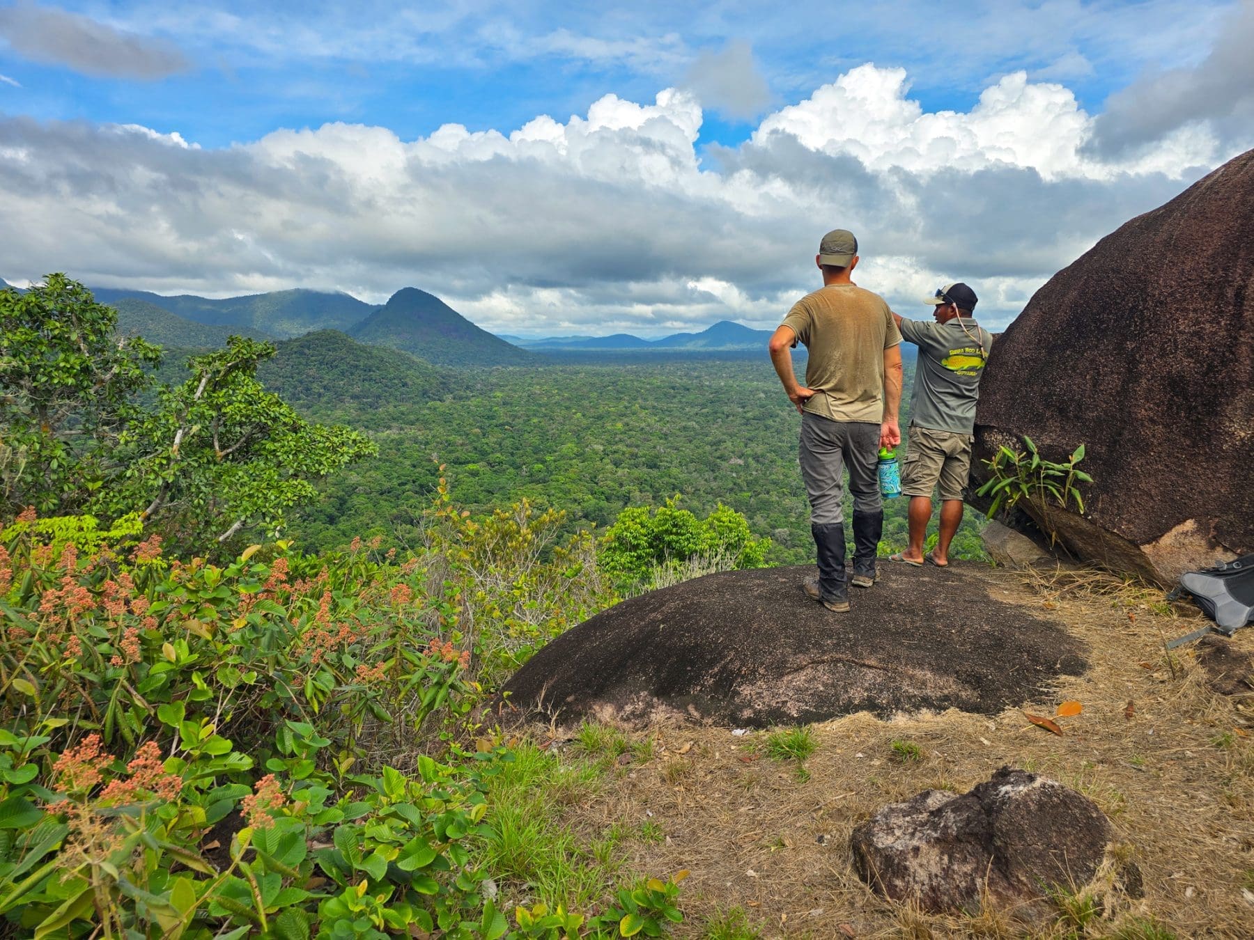 COPYRIGHT HoneyTrek 20251201 092453 179 scaled