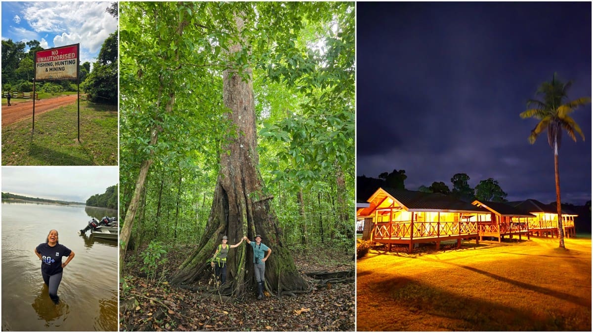 Best eco-lodge in Guyana, South america