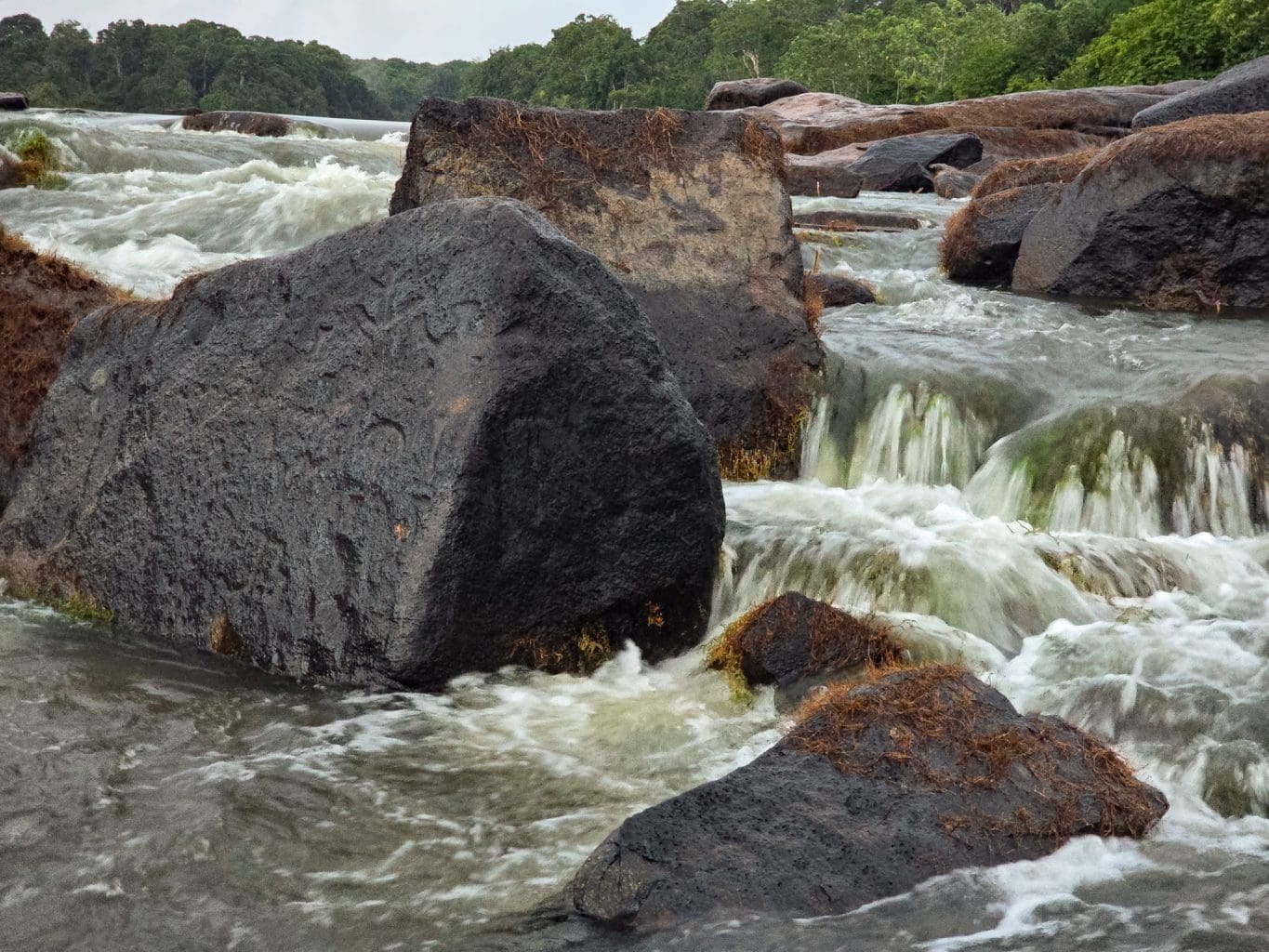 Petroglyphs Fair View Village, Guyana