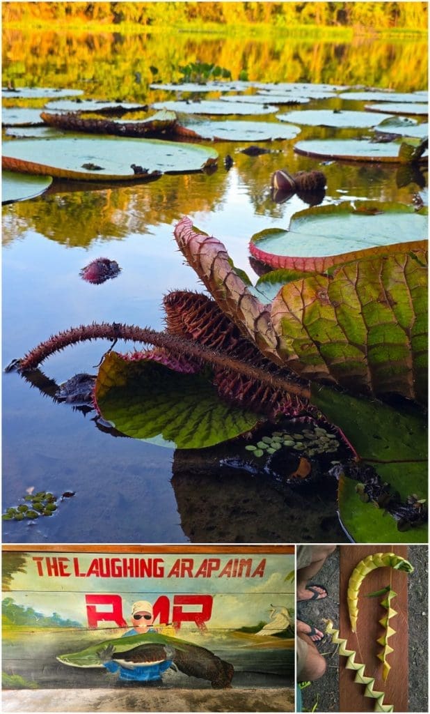 best destination for arapaima fishing, Rewa, Guyana